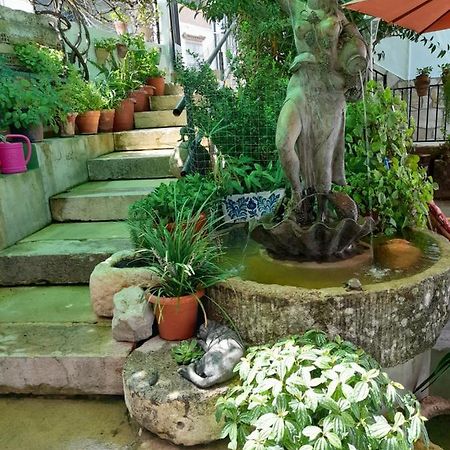 Casa Paco Guest House เอลบอสเก ภายนอก รูปภาพ