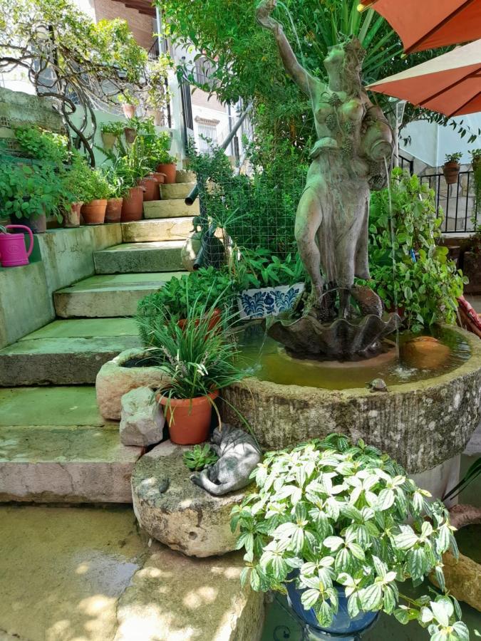 Casa Paco Guest House เอลบอสเก ภายนอก รูปภาพ